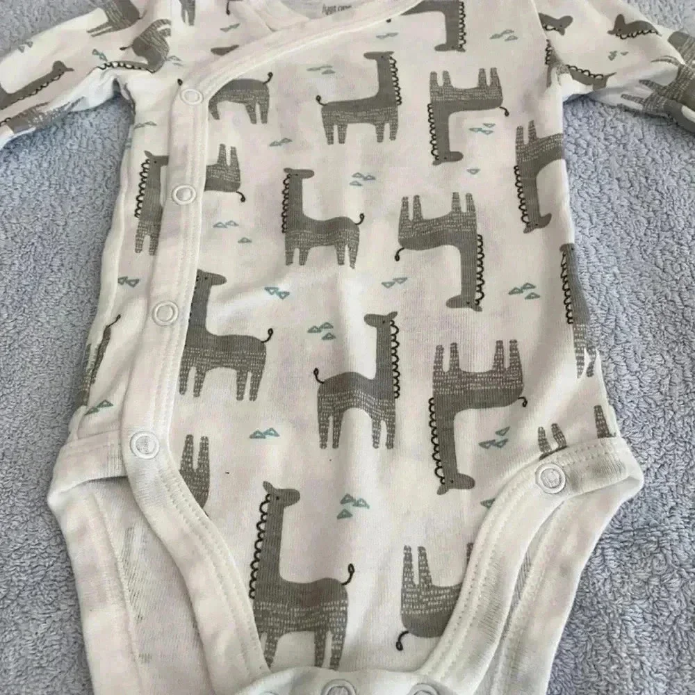 Carter’s onesie